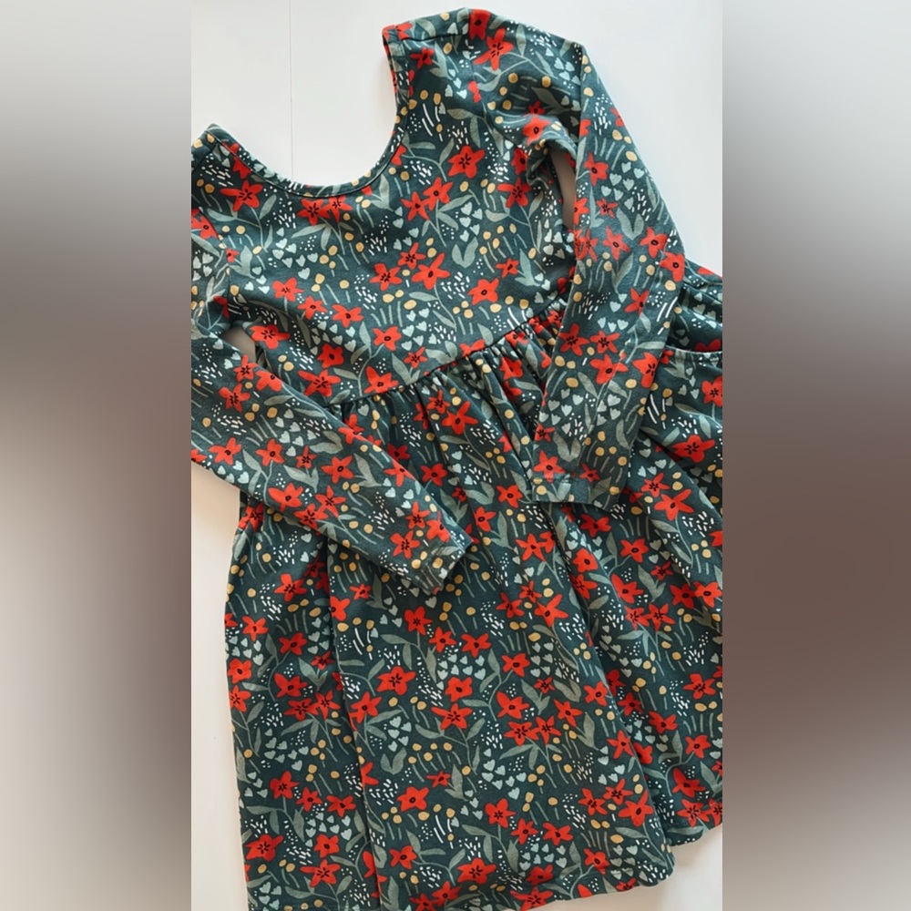 Hanna Andersson Floral Christmas Dress